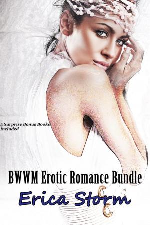 Book cover of BWWM Romance Bundle