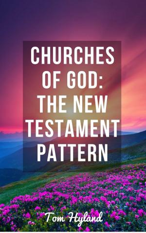 Cover of the book Churches of God: The New Testament Pattern by Guy Jarvie