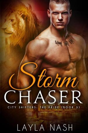 Cover of the book Storm Chaser by Candice Stauffer