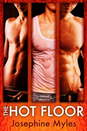 Cover of the book The Hot Floor by Cindy Hiday