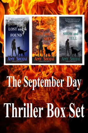 Cover of the book The September Day Thriller Box Set by Morgan Irwin