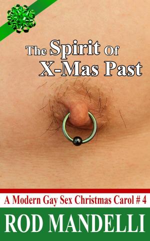 Cover of The Spirit of X-Mas Past