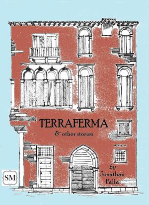 Book cover of Terraferma