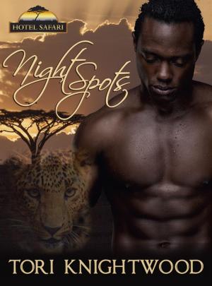 Book cover of Night Spots