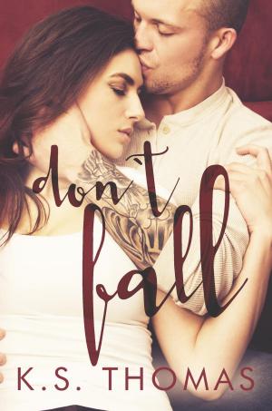 Cover of the book Don't Fall by Brenda K Stone