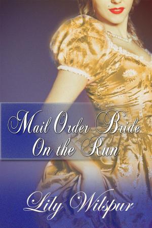 Cover of the book Mail Order Bride - On the Run by DavidLeeSummers1