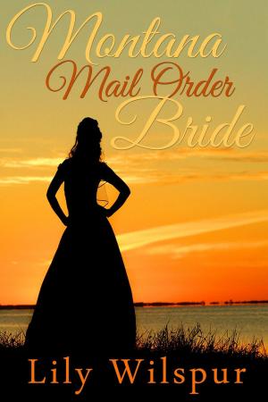 Cover of the book Montana Mail Order Bride by Albert W. Aiken