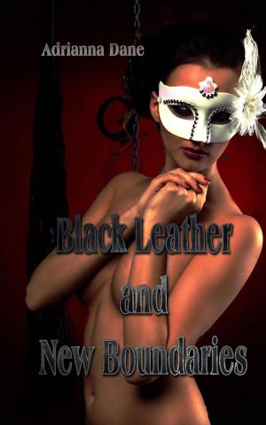 Cover of the book Black Leather and New Boundaries by Rebekka Wilkinson