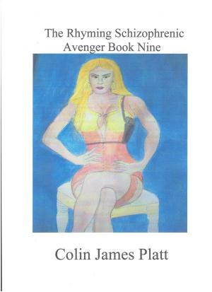 Cover of The Rhyming Schizophrenic Avenger Book Nine