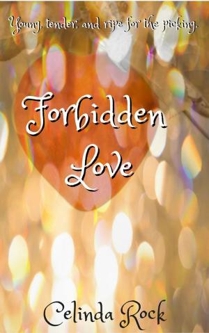 Cover of the book Forbidden Love by Raine English
