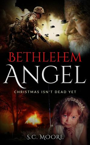Cover of the book Bethlehem Angel by Scripture Keys Corp.