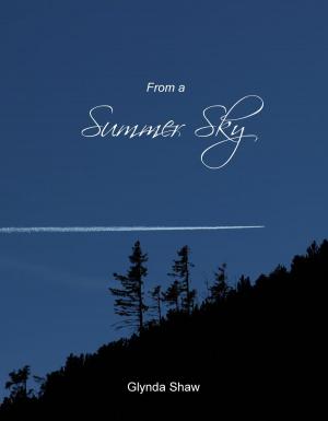 bigCover of the book From a Summer Sky by 