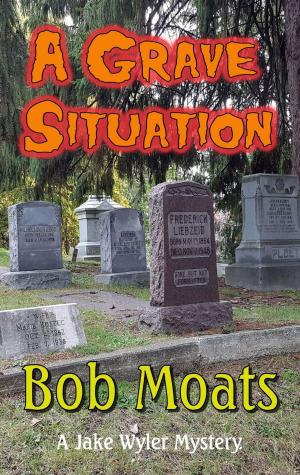 Cover of the book A Grave Situation by Chuck Morgan