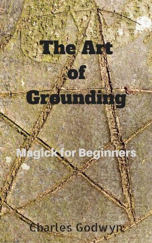Book cover of The Art of Grounding