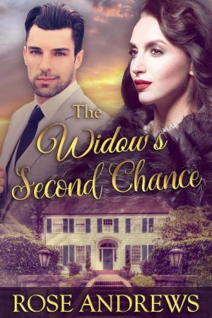 bigCover of the book The Widow's Second Chance by 