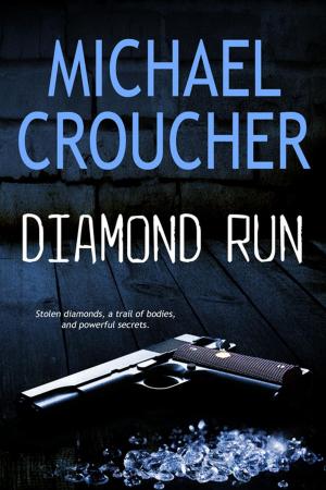 Cover of the book Diamond Run by Tiffany Flowers