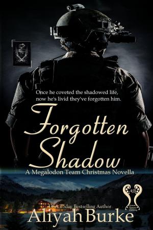 Book cover of Forgotten Shadow