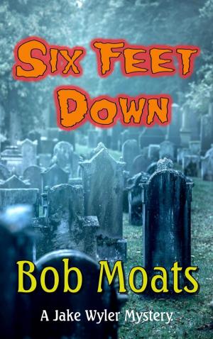 Cover of the book Six Feet Down by Bob Moats