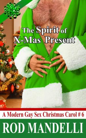 Cover of the book The Spirit of X-Mas Present by Cassandra Logan