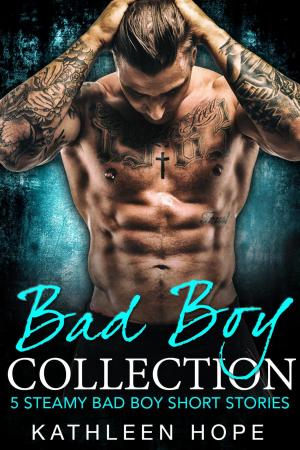 Cover of the book Bad Boy Collection: 5 Steamy Bad Boy Short Stories by Stephen Fredrick