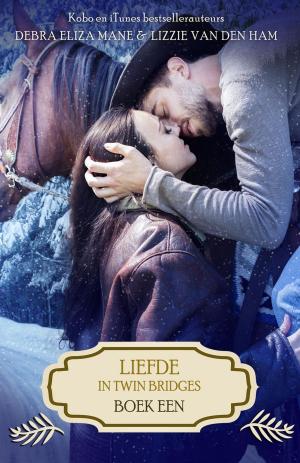 Cover of Liefde in Twin Bridges: boek een