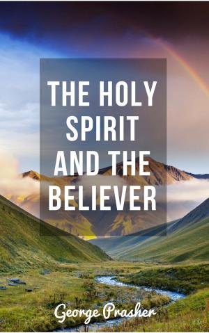 Cover of the book The Holy Spirit and the Believer by Brian Johnston