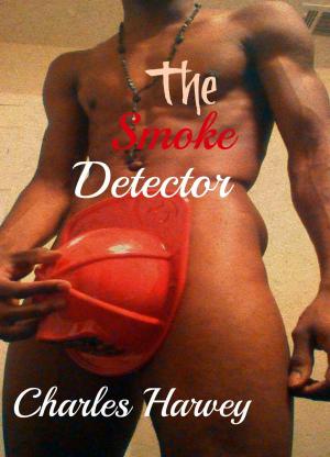 Book cover of The Smoke Detector