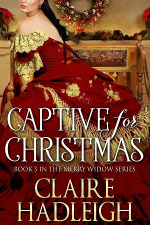 Book cover of Captive for Christmas