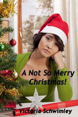Cover of the book A Not So Merry Christmas by lost lodge press