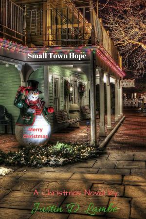 bigCover of the book Small Town Hope by 