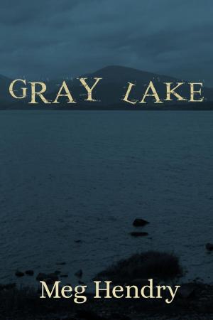 Cover of the book Gray Lake by Angela Baker