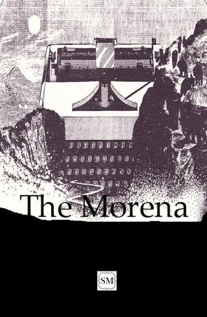 Cover of the book The Morena by PP Corcoran