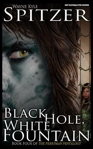 Book cover of Black Hole, White Fountain