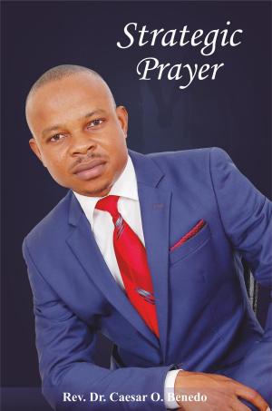 bigCover of the book Strategic Prayer by 