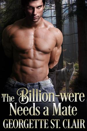 Cover of the book The Billion-were Needs a Mate by Beth Barany