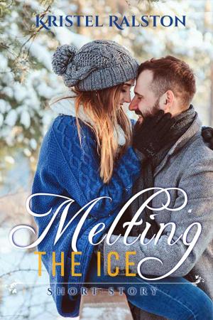 Book cover of Melting the ice
