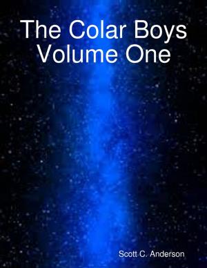 Cover of the book The Colar Boys Volume One by World Travel Publishing