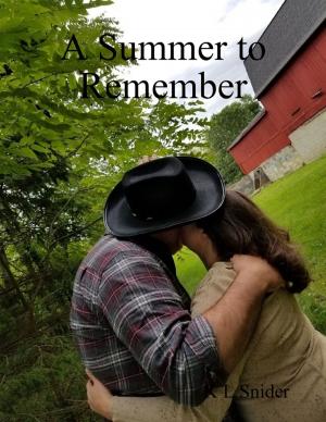 Cover of the book A Summer to Remember by Ross R. Olney