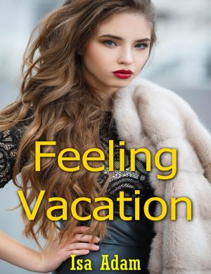 Cover of the book Feeling Vacation by Kimberly Vogel