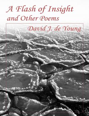 Cover of the book A Flash of Insight and Other Poems by David Duke-Evans