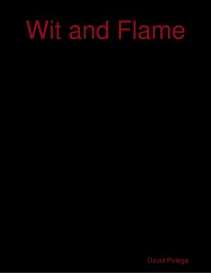 Cover of the book Wit and Flame by Anthony Robinson, MS