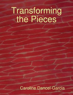 Book cover of Transforming the Pieces