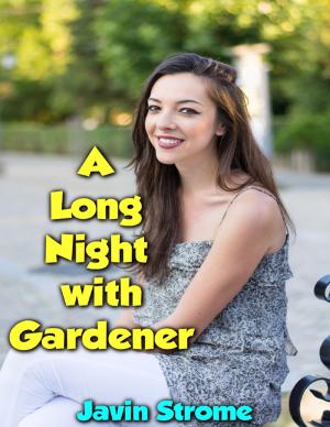 Book cover of A Long Night With Gardener