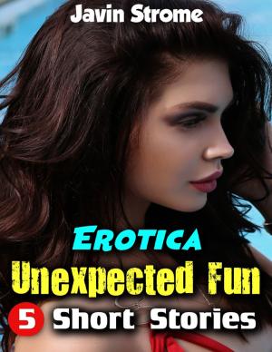 Book cover of Erotica: Unexpected Fun: 5 Short Stories