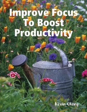 Cover of the book Improve Focus To Boost Productivity by Lewis McDonald