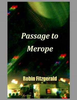 Cover of the book Passage to Merope by C. Y. Croft