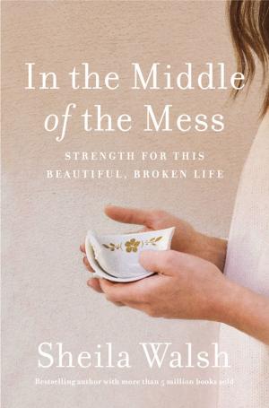 Cover of the book In the Middle of the Mess by Stephen Arterburn