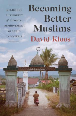 Cover of the book Becoming Better Muslims by David Scheffer