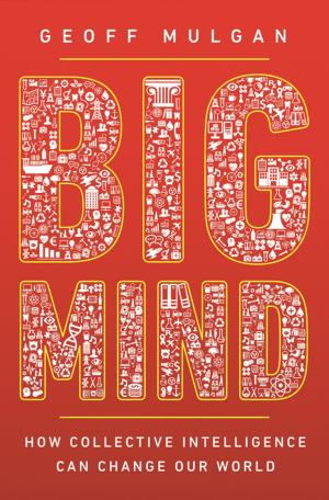 Cover of the book Big Mind by Marisa Abrajano, R. Michael Alvarez