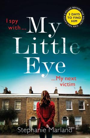 Cover of the book My Little Eye by Kenneth Bulmer